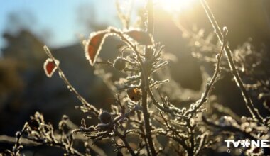 Kādi laikapstākļi gaidāmi brīvdienās? - Apollo.lv