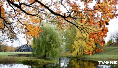Kāds laiks gaidāms tuvākajās dienās?