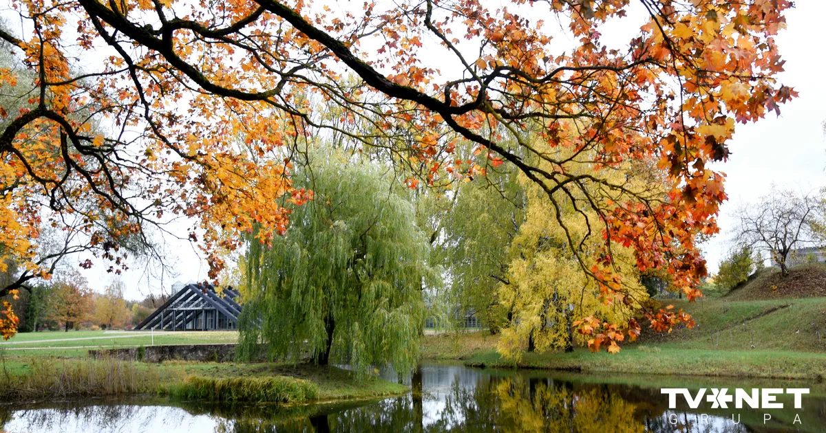 Kāds laiks gaidāms tuvākajās dienās?