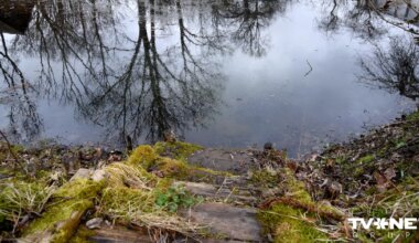 VIDEO ⟩ Rēzeknē Sergejam neizdevās glābt piemājas dīķī slīkstošo draugu