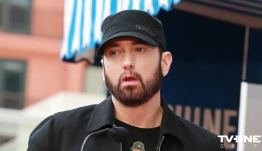 Eminems apvainojies un iesūdzējis tiesā Austrālijas pludmales zīmolu "Swim Shady"