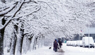 Naktī vietām Latvijā veidosies sniega kārta un arī pirmdien daudzviet gaidāmi nokrišņi