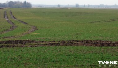 Nākamnedēļ Latvijā ziema uz laiku atkāpsies