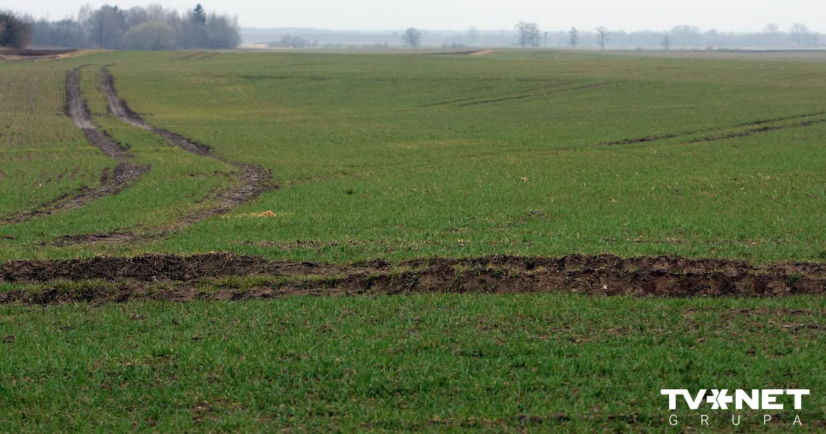 Nākamnedēļ Latvijā ziema uz laiku atkāpsies