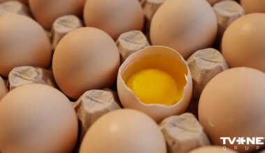 "Alūksnes putnu fermas" īpašnieks nopircis Lielbritānijas olu ražotāju; cena - 40 miljoni eiro - TVNET