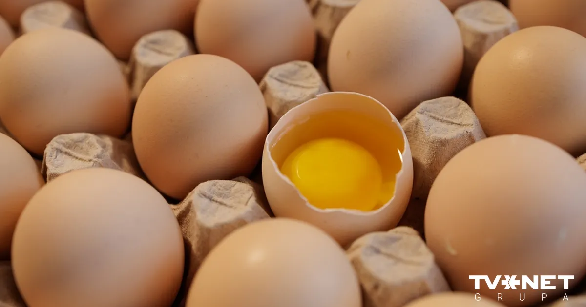 "Alūksnes putnu fermas" īpašnieks nopircis Lielbritānijas olu ražotāju; cena - 40 miljoni eiro - TVNET