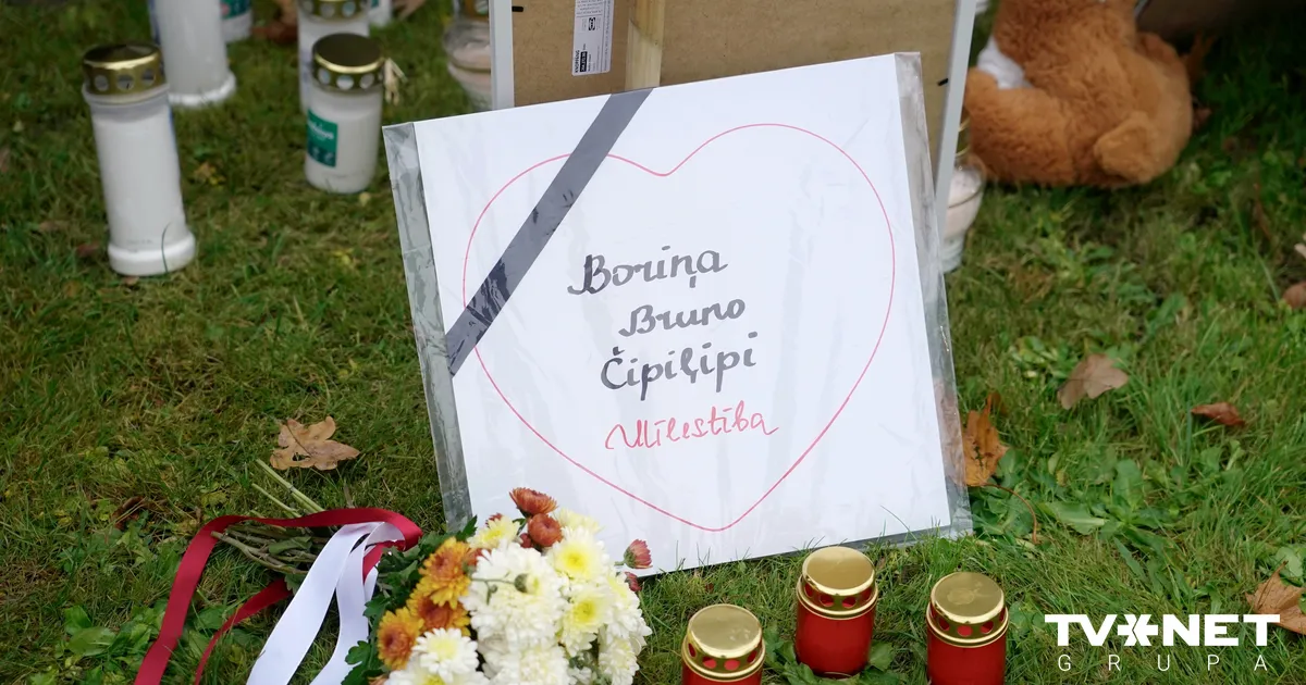 Bauskas novadā nošauto suņu lietā pie kriminālatbildības varētu tikt sauktas četras personas