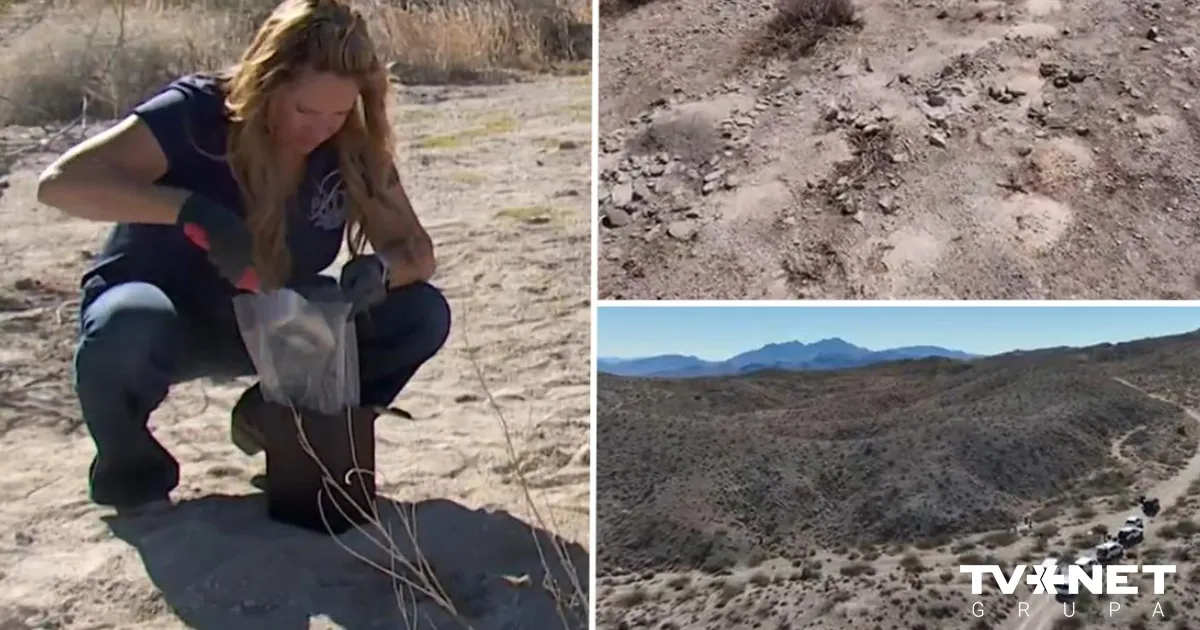 VIDEO ⟩ Šokējošs atklājums Nevadas tuksnesī. Atrastas simtiem kremētu cilvēku atliekas