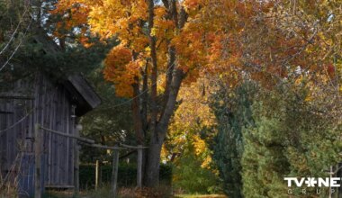 Jaunās nedēļas sākumā laikapstākļi vēl neuzlabosies