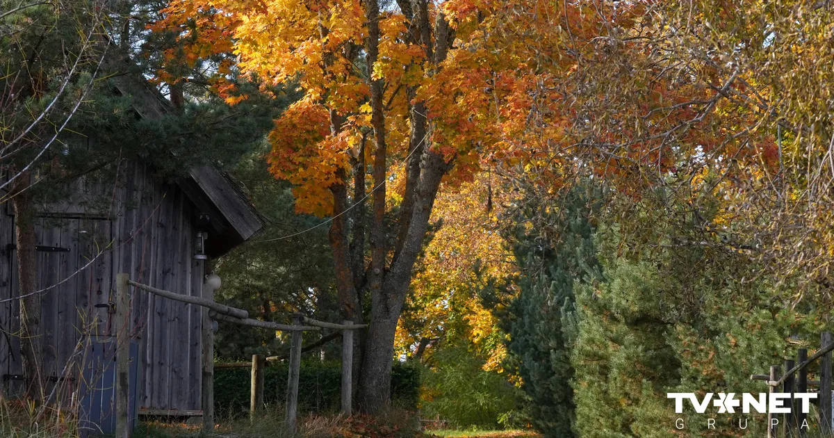 Jaunās nedēļas sākumā laikapstākļi vēl neuzlabosies