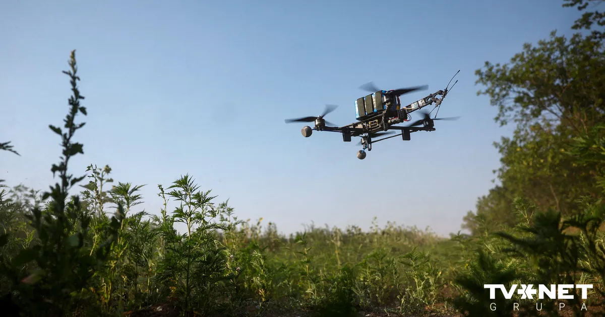 Polija veidos pati savu pretdronu sistēmu