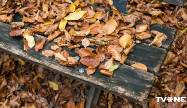 Trešdien Latvijā gaidāms silts laiks