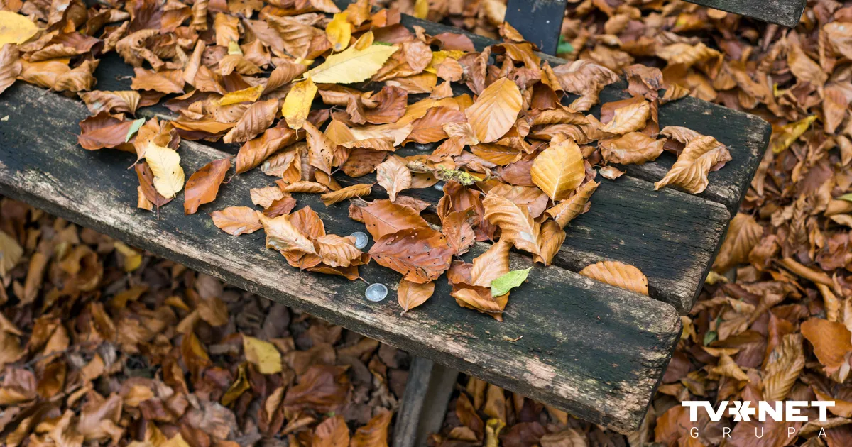 Trešdien Latvijā gaidāms silts laiks