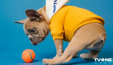 Horoskops ceturtdienai, 7. novembrim