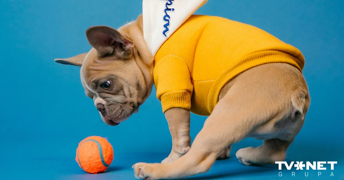 Horoskops ceturtdienai, 7. novembrim