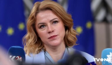 valdībai nelikās, ka tā lemj privāto kokrūpnieku interesēs