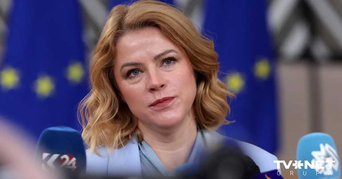 valdībai nelikās, ka tā lemj privāto kokrūpnieku interesēs