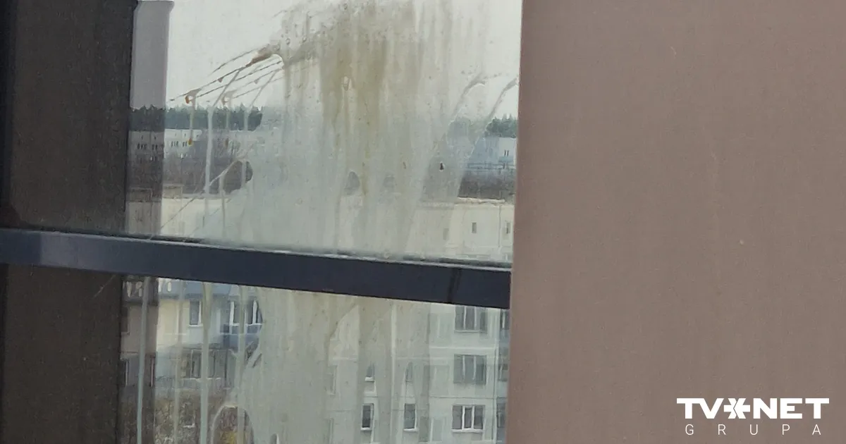 "Vardarbība kā pakalpojums." Vai Eiropola operācijā Rīgā aizturētais algotnis ir latviešu influenceris?