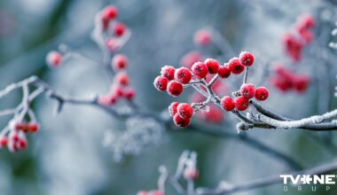 Sagatavota laika prognoze gaidāmajām brīvdienām