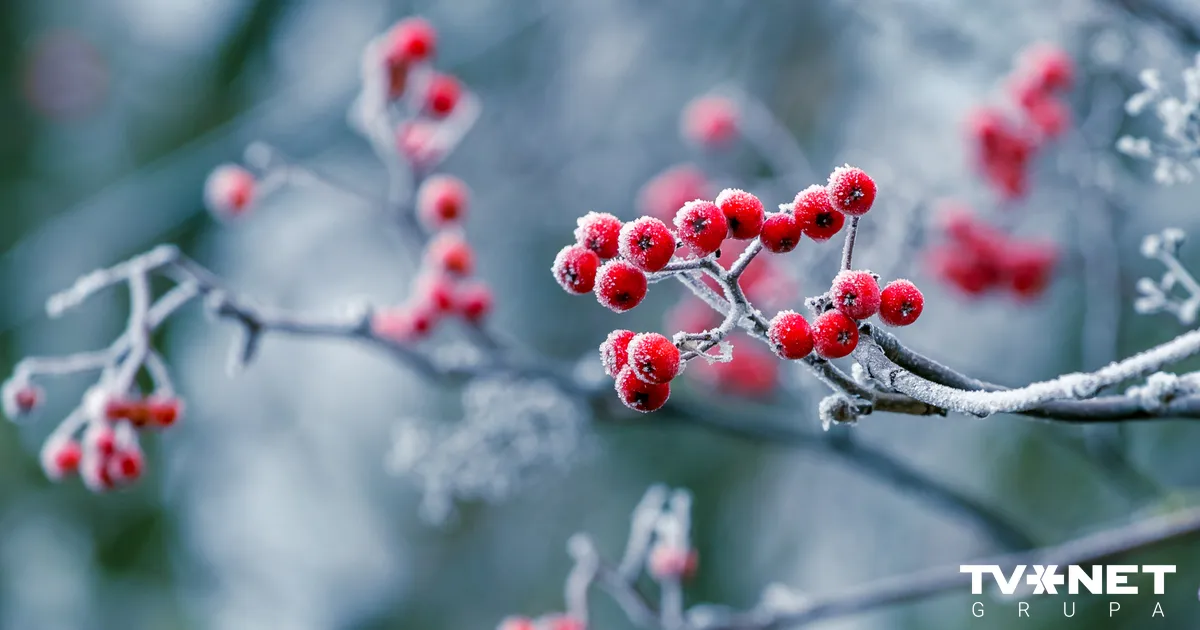 Sagatavota laika prognoze gaidāmajām brīvdienām