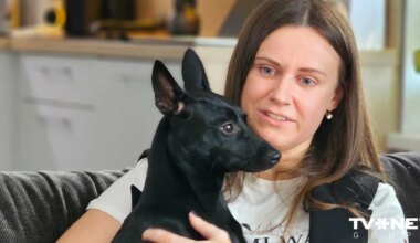 Tūkstošiem kilometru mīlestības dēļ – kā Taivānas suns atrada mājas Latvijā