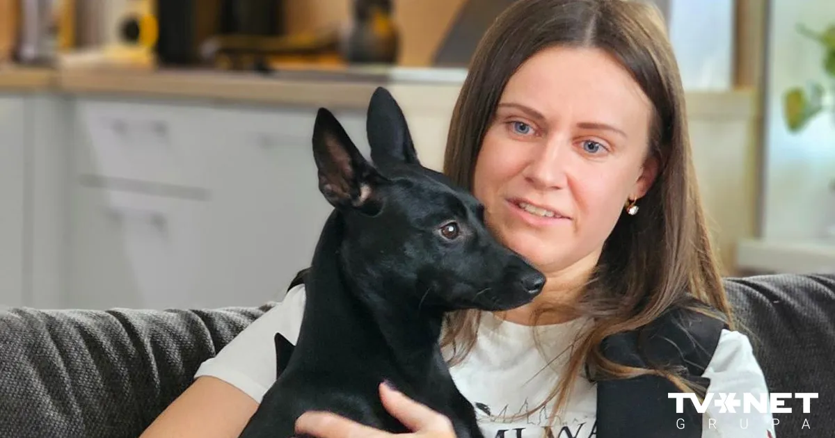 Tūkstošiem kilometru mīlestības dēļ – kā Taivānas suns atrada mājas Latvijā