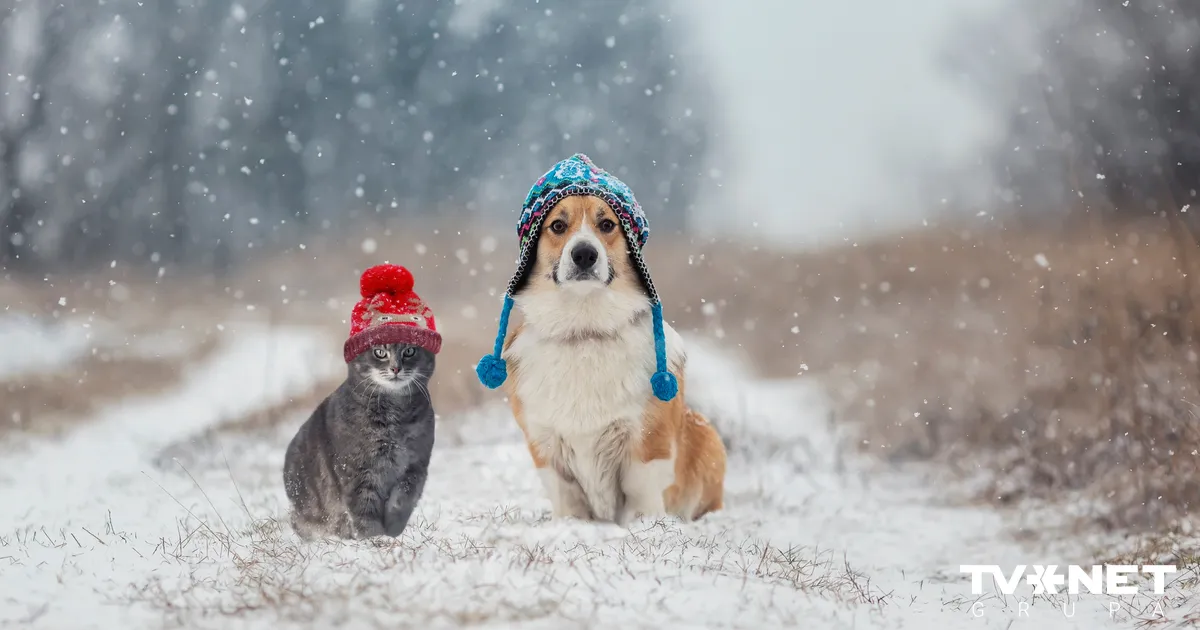 Naktī uz pirmdienu vietām Latvijā veidosies sniega sega