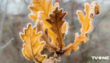 Mēneša atlikušajās nedēļās palaikam gaidāms lietus un sniegs