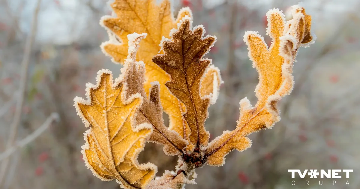 Mēneša atlikušajās nedēļās palaikam gaidāms lietus un sniegs