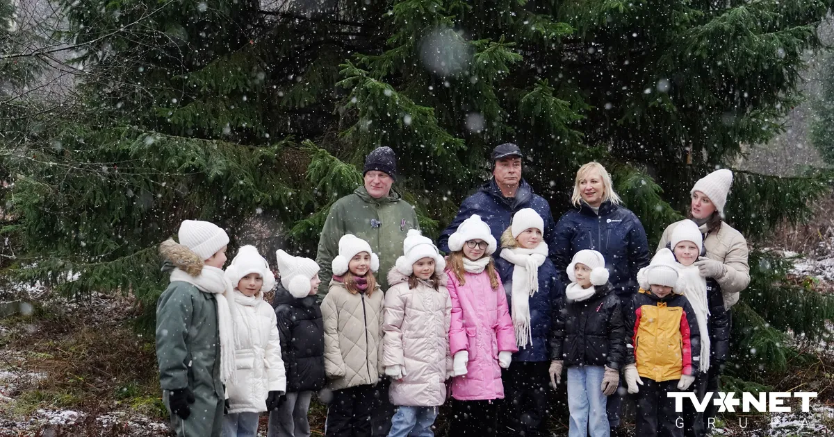 FOTO ⟩ Doma laukumu un Rātslaukumu rotās 35 gadus vecas Ziemassvētku egles