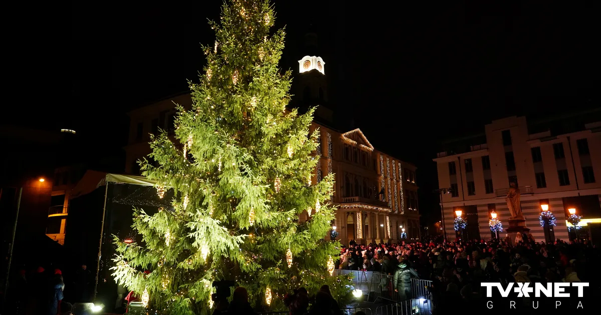 Sestdien Rātslaukumā iemirdzēsies Rīgas galvenā Ziemassvētku egle