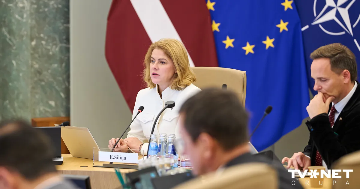 Visticamāk, pirms budžeta pieņemšanas valdība nekritīs, prognozē politologs