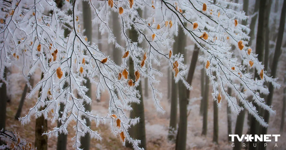 Gaisa temperatūra noslīdējusi zem -5 grādiem; dienas laikā vietām snigs