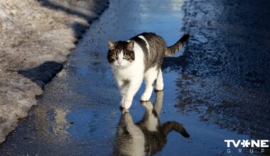Vai nedēļas otrajā pusē gaidāmi nokrišņi?