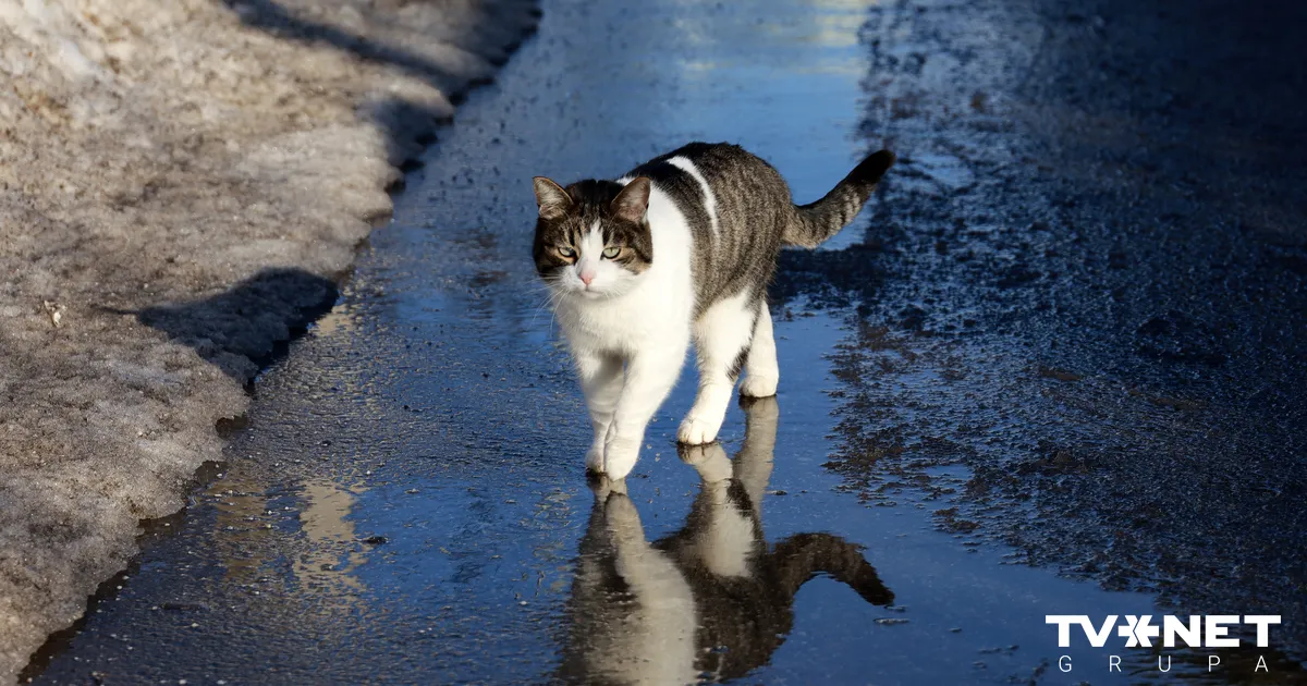 Vai nedēļas otrajā pusē gaidāmi nokrišņi?