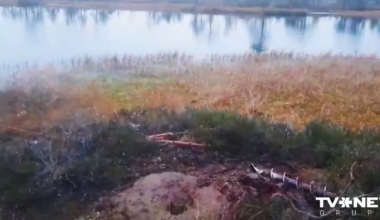 VIDEO ⟩ Palšu purvā notikusi spēcīga purva gāzes izplūde