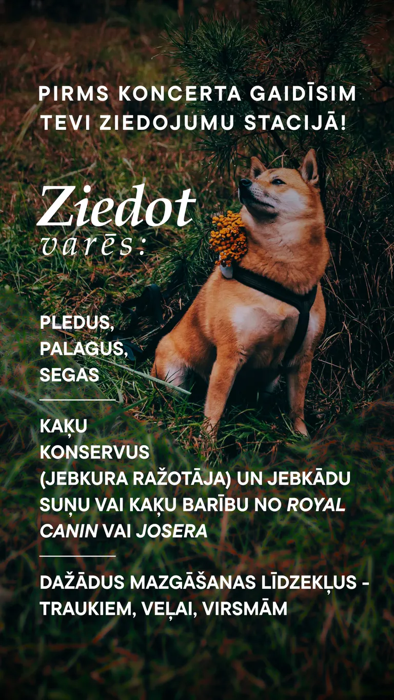 Patversmei nepieciešamo lietu saraksts.