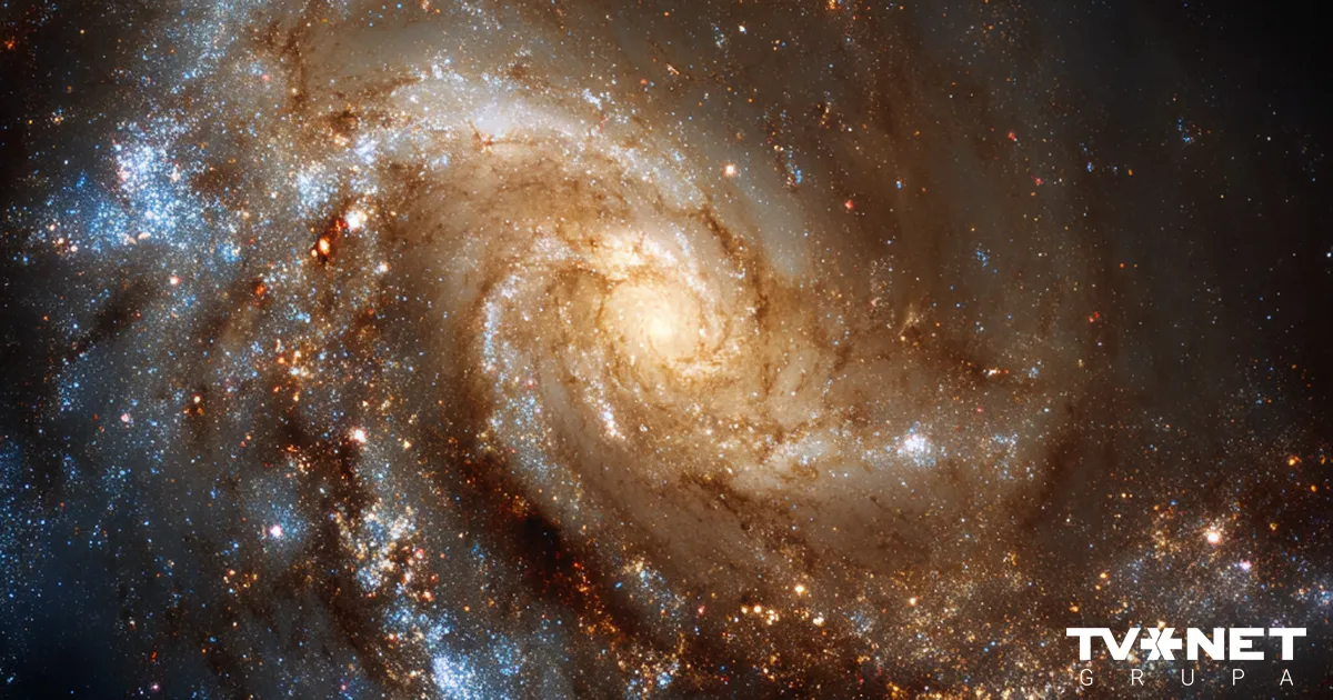 Lielais decembra mēneša horoskops. Detalizēta prognoze katrai zodiaka zīmei! - Apollo.lv