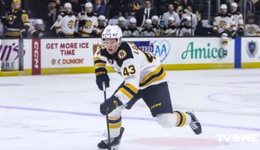 VIDEO ⟩ Ločmelis un Vilmanis gūst vārtus AHL spēlēs