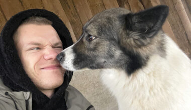 Brunavā nošautie suņi. Modris pastāsta, kas zināms