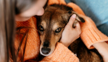 Vai un kāpēc jāstiprina likuma normas dzīvnieku aizstāvībai?