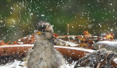 Ar kādu laiku sāksies novembris – sinoptiķi atklāj jaunākās prognozes - tv3.lv