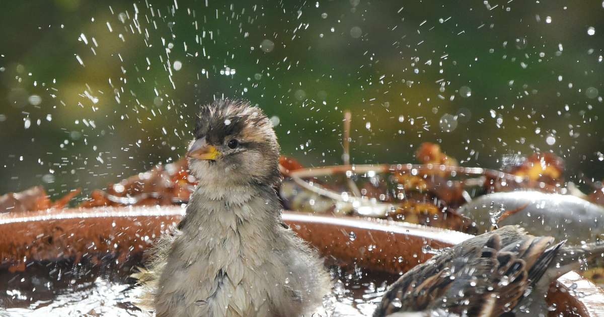 Ar kādu laiku sāksies novembris – sinoptiķi atklāj jaunākās prognozes - tv3.lv