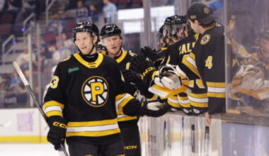 Ločmelis iemet mazākumā un gūst AHL sezonas trešos vārtus – Hokejs – Sportacentrs.com