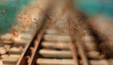 Vairākas ministrijas un drošības iestādes gatavo atzinumu par sliežu nojaukšanas Krievijas pierobežā ietekmi