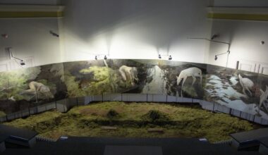 Ziemeļvalstu un Baltijas Jaunā mākslinieka "Grand Prix" balvu saņem Katrīna Levāne