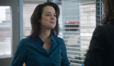 Policijas iecirknis 31. Kanādas detektīvseriāls. 3. sezona. 87. sērija (12+) - REplay.lv