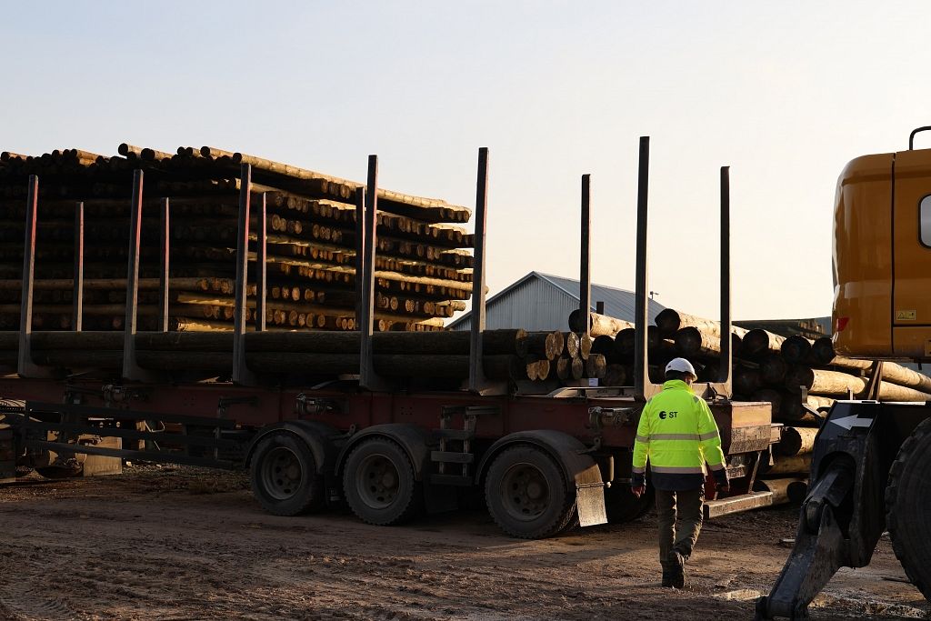Elektroenerģijas sadales tarifi iedzīvotājiem nākamgad varētu nemainīties