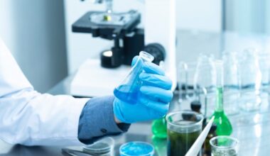 Industra Bank un Signet Bank piešķīrušas 13 miljonu eiro kredītu Kalceks :: Dienas Bizness