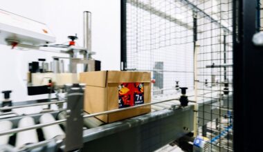 Kāruma sieriņi būs pieejami Dienvidkorejas veikalos :: Dienas Bizness